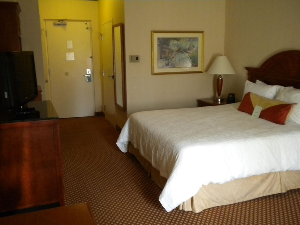 Hilton Garden Inn Philadelphia-Fort Washington Værelse billede